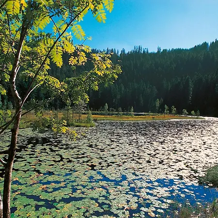 Sackmann Lägenhet *