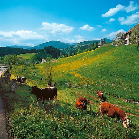 Sackmann Lägenhet Baiersbronn